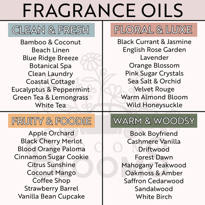 Vroom Blooms Short Aloe Vera Plant Vent Clip Car Air Freshener (Reusable)