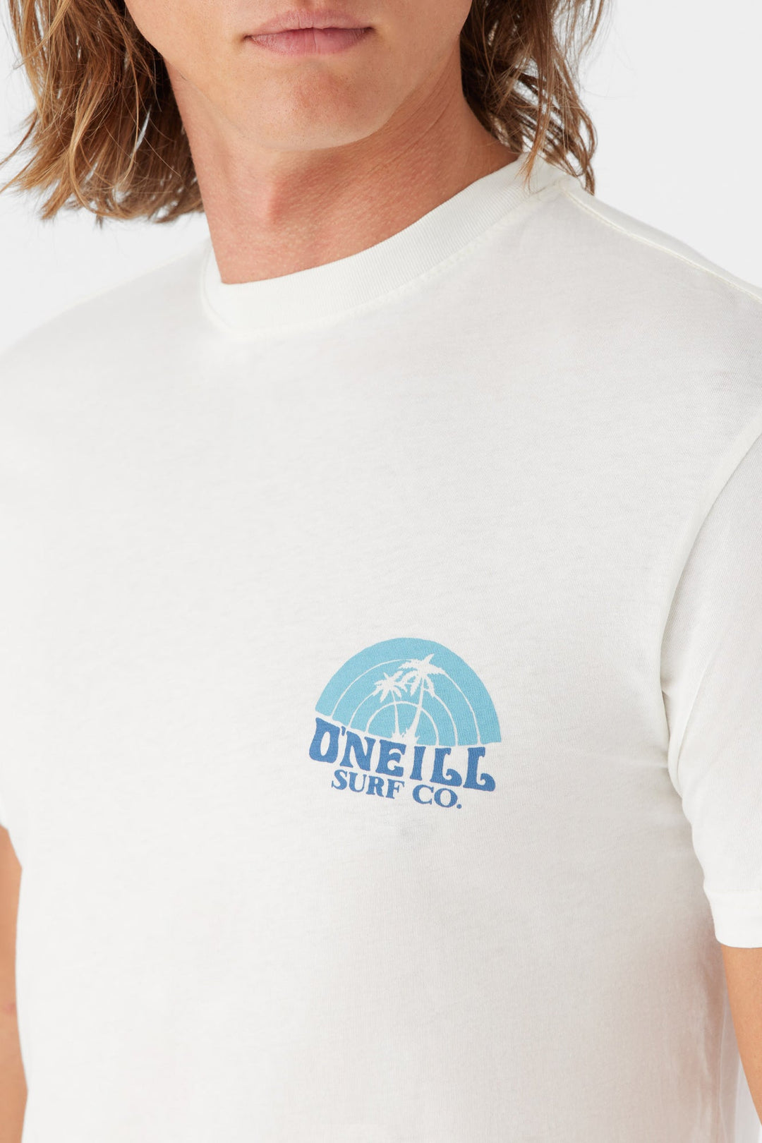 O'Neill Shaved Ice Tee - Mens Tees - Big Sun Vernon  | Okanagan Beachwear
