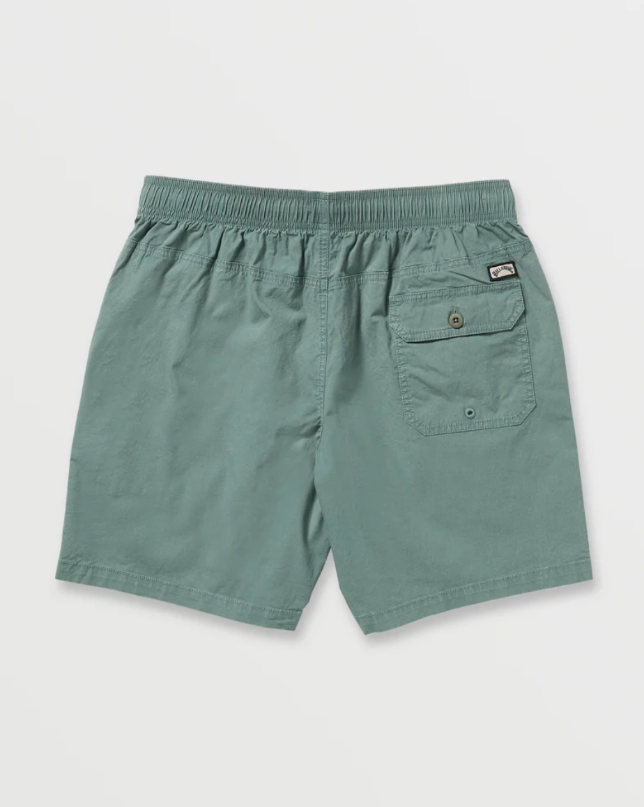 Billabong Mario Shorts 17" - Mens Walkshorts - Big Sun Vernon  | Okanagan Beachwear