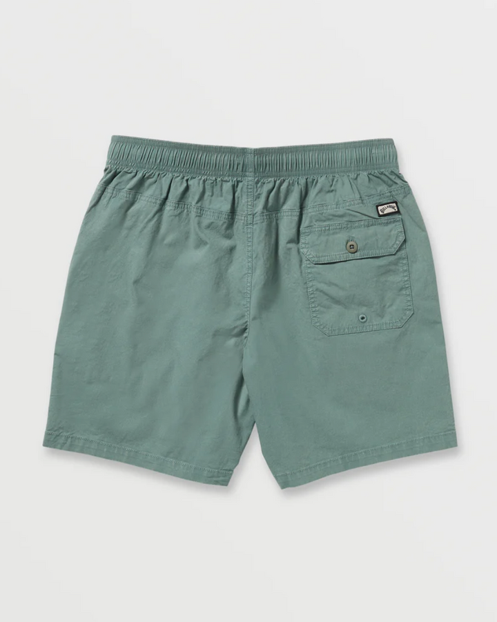 Billabong Mario Shorts 17" - Mens Walkshorts - Big Sun Vernon  | Okanagan Beachwear