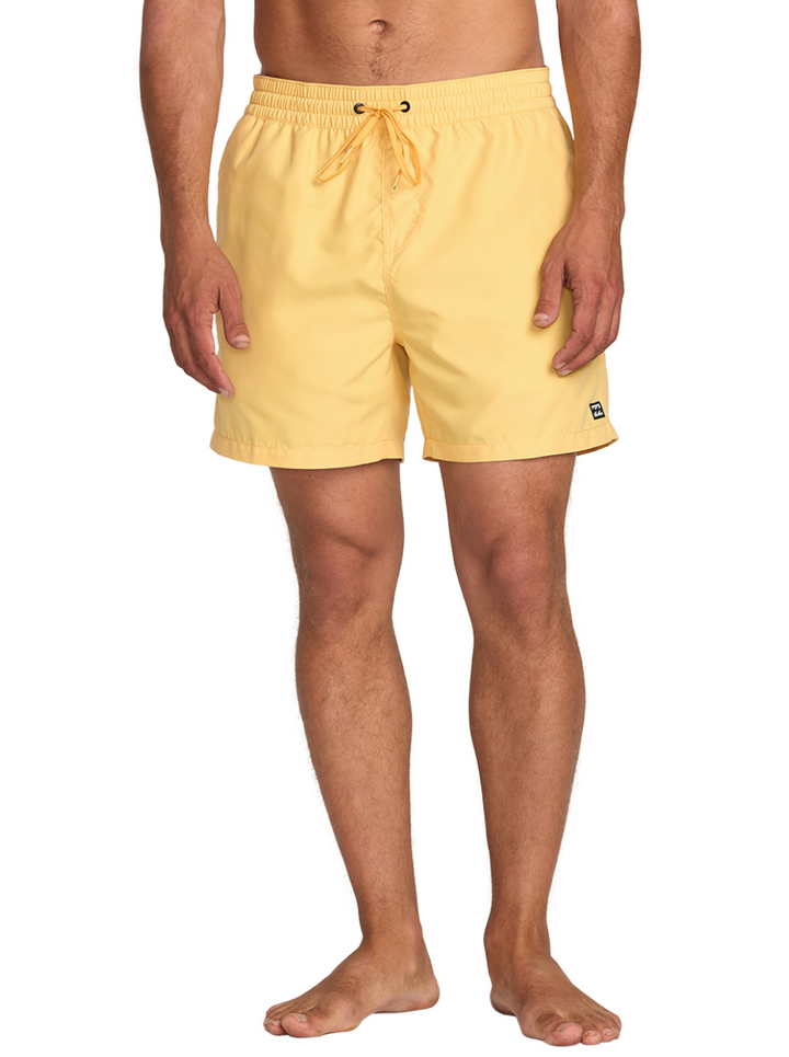 Billabong All Day Layback 16" Boardshorts - Mens 17" Boardshorts - Big Sun Vernon  | Okanagan Beachwear