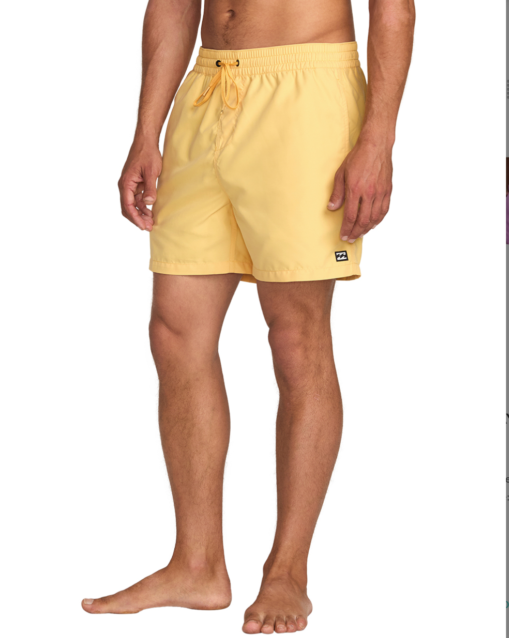 Billabong All Day Layback 16" Boardshorts - Mens 17" Boardshorts - Big Sun Vernon  | Okanagan Beachwear