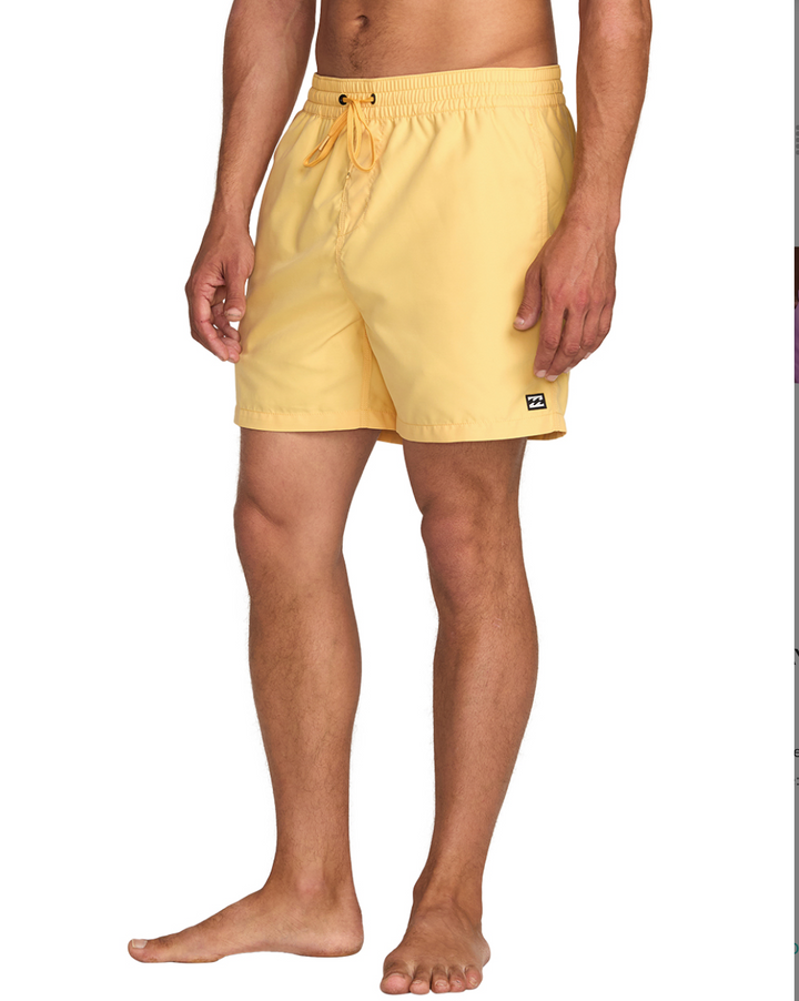 Billabong All Day Layback 16" Boardshorts - Mens 17" Boardshorts - Big Sun Vernon  | Okanagan Beachwear