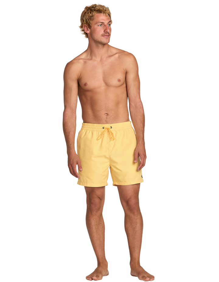 Billabong All Day Layback 16" Boardshorts - Mens 17" Boardshorts - Big Sun Vernon  | Okanagan Beachwear