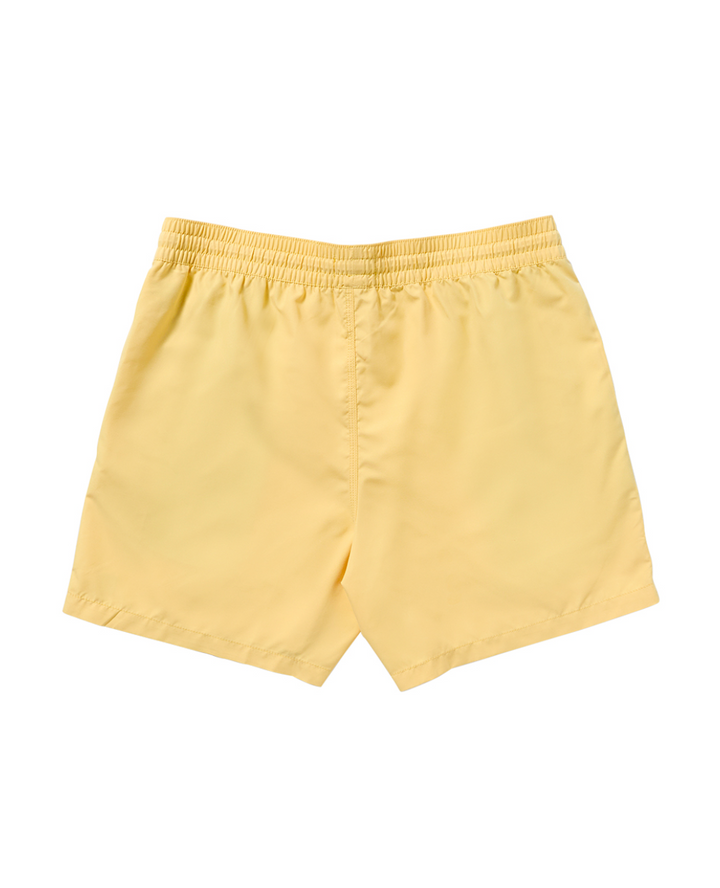 Billabong All Day Layback 16" Boardshorts - Mens 17" Boardshorts - Big Sun Vernon  | Okanagan Beachwear