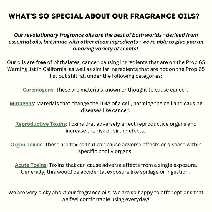 Vroom Blooms Monstera Vent Clip Car Air Freshener Diffuser (Reusable)