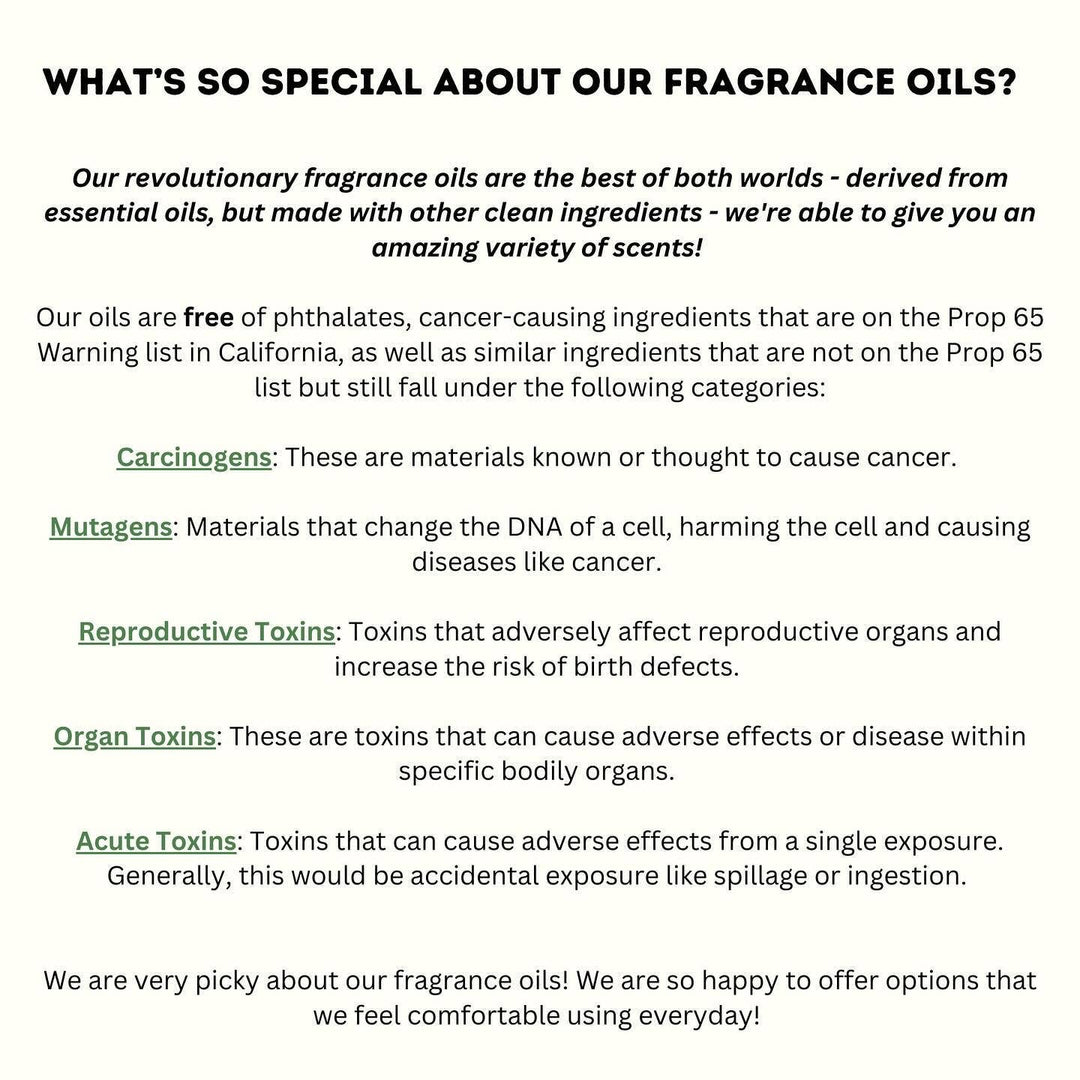 Vroom Blooms Mushroom Vent Clip Car Air Freshener Diffuser (Reusable)