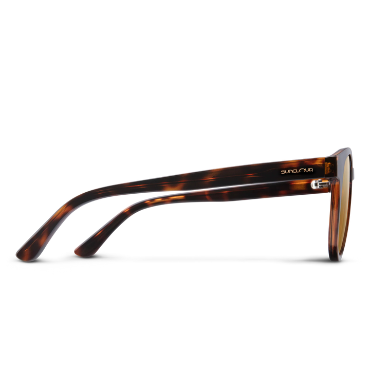 Suncloud Barnes Sunglasses