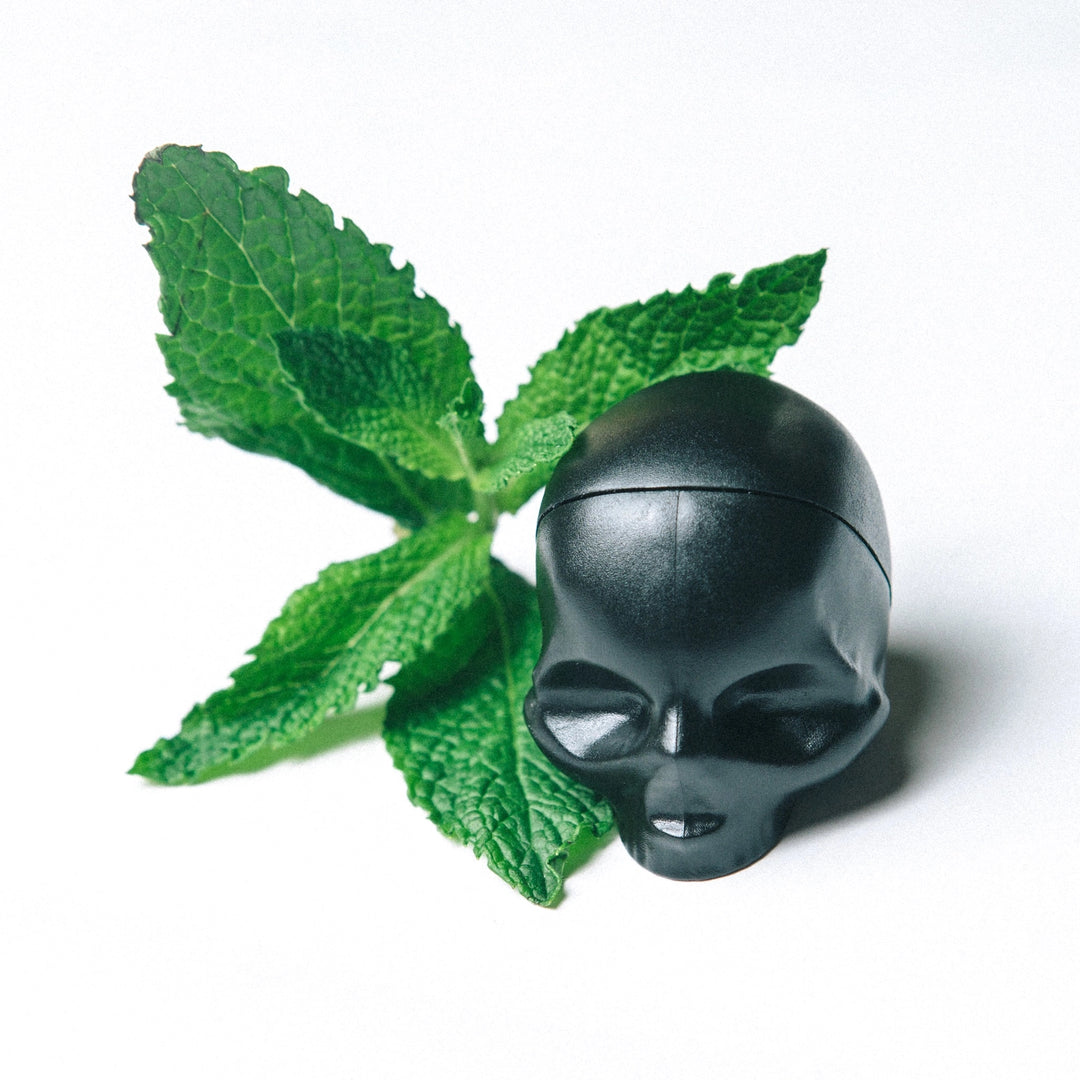 Rebels Refinery Skull Lip Balm - Lip Balm - Big Sun Vernon  | Okanagan Beachwear