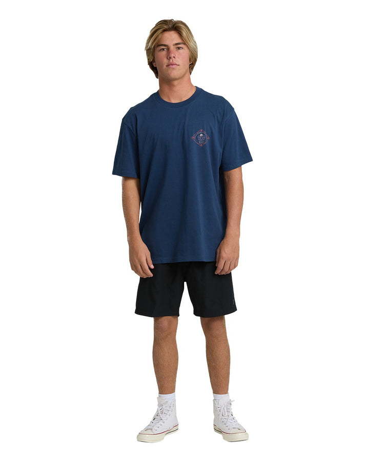 Billabong Agave A/Div Tee