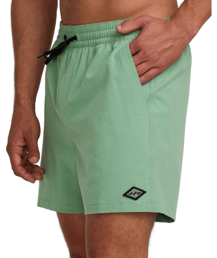 Billabong every Other Day LB Shorts - Mens Swim Shorts - Big Sun Vernon  | Okanagan Beachwear