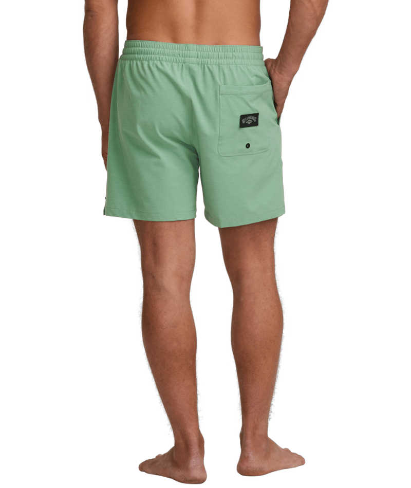 Billabong every Other Day LB Shorts - Mens Swim Shorts - Big Sun Vernon  | Okanagan Beachwear
