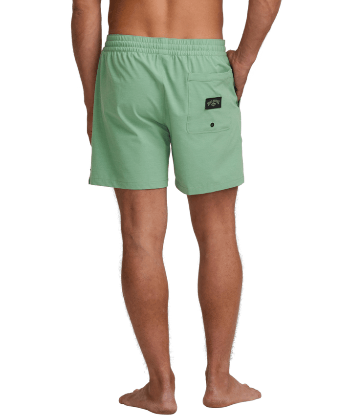 Billabong every Other Day LB Shorts - Mens Swim Shorts - Big Sun Vernon  | Okanagan Beachwear
