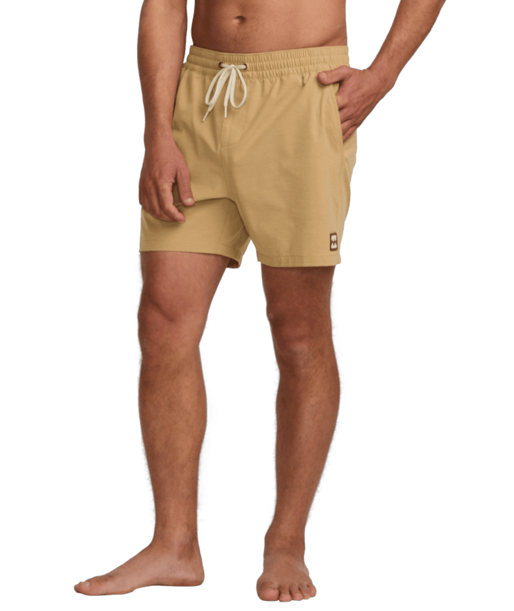 Billabong every Other Day LB Shorts - Mens Swim Shorts - Big Sun Vernon  | Okanagan Beachwear