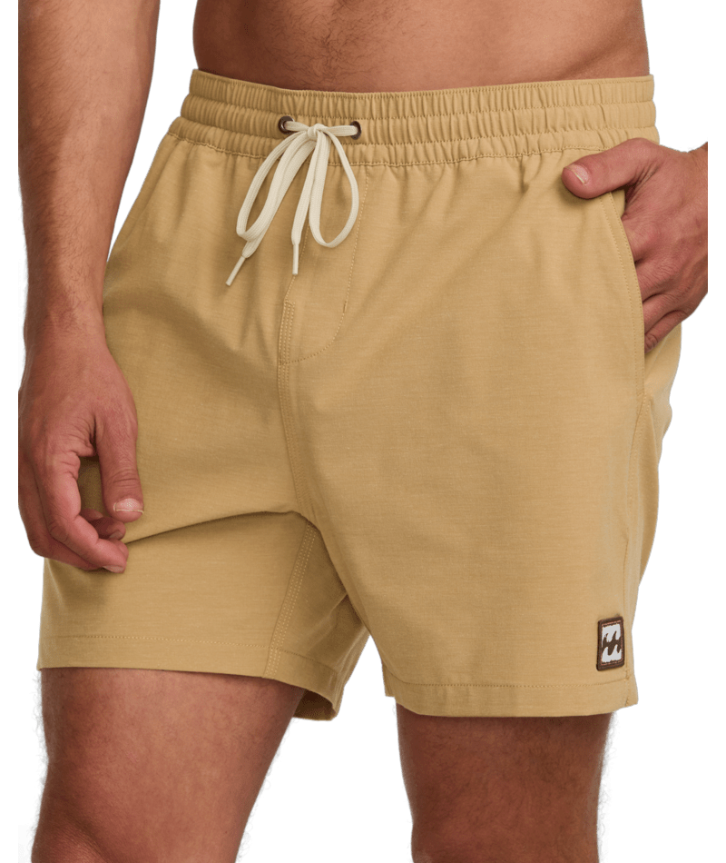Billabong every Other Day LB Shorts - Mens Swim Shorts - Big Sun Vernon  | Okanagan Beachwear