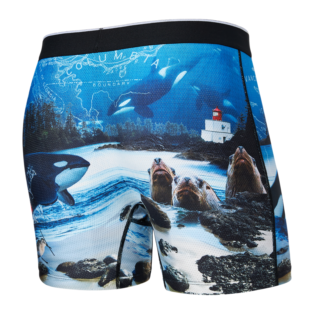 Saxx Volt Boxer Brief - Mens Underwear - Big Sun Vernon  | Okanagan Beachwear