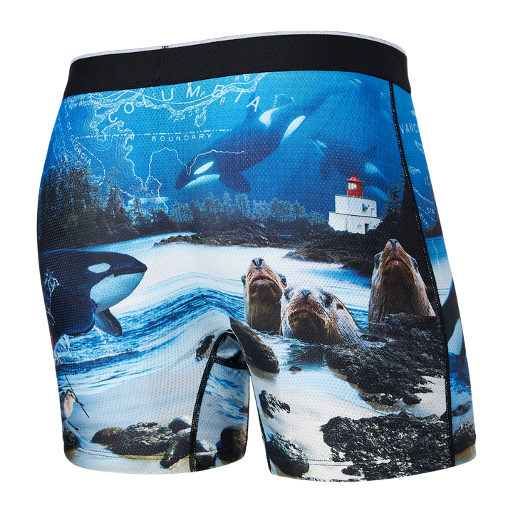 Saxx Volt Boxer Brief - Mens Underwear - Big Sun Vernon  | Okanagan Beachwear