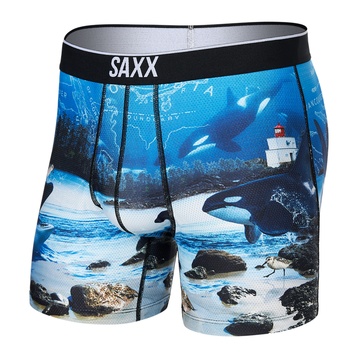 Saxx Volt Boxer Brief - Mens Underwear - Big Sun Vernon  | Okanagan Beachwear