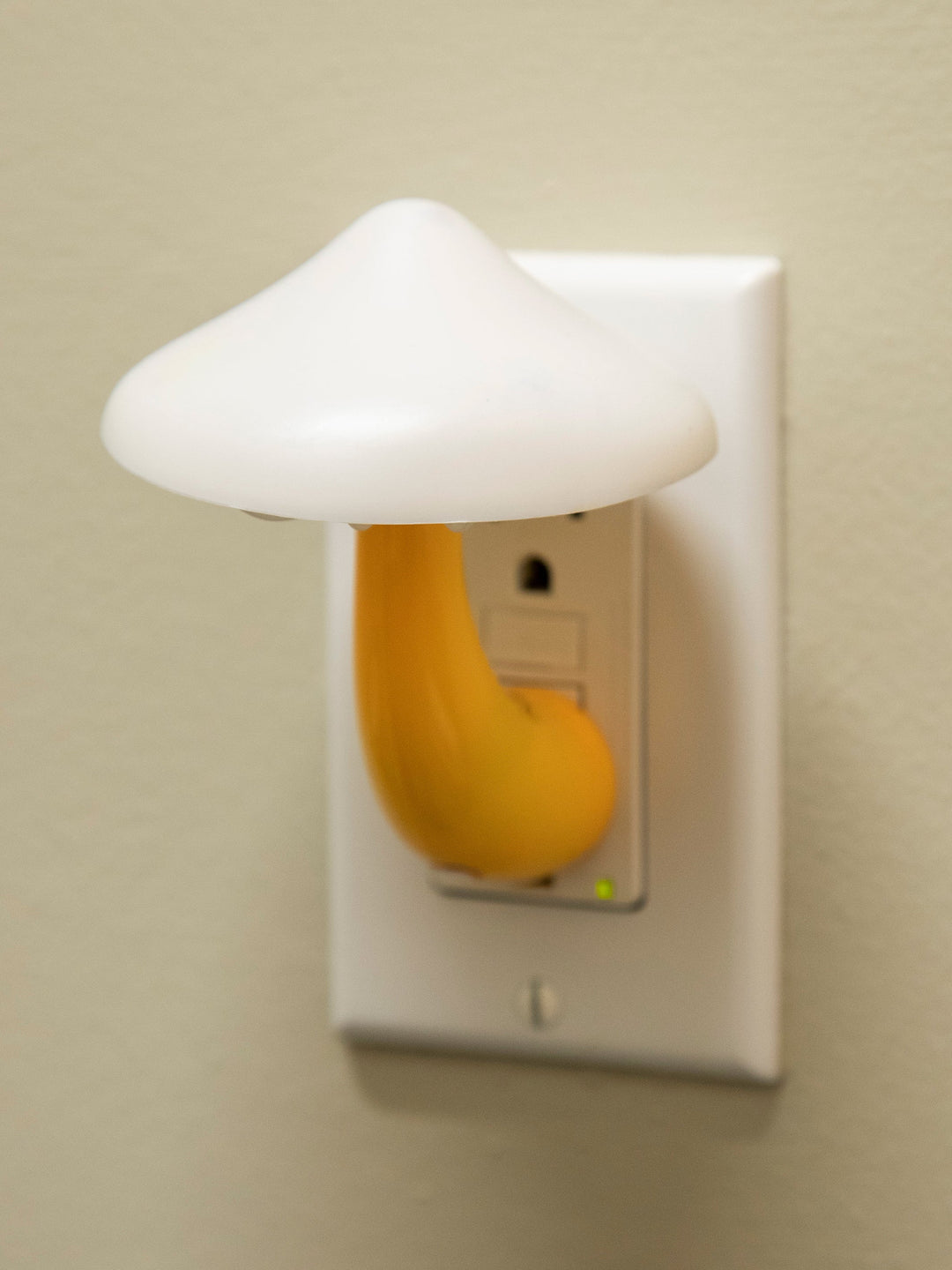 Natural Life Mushroom Night Light - Stationery - Big Sun Vernon  | Okanagan Beachwear