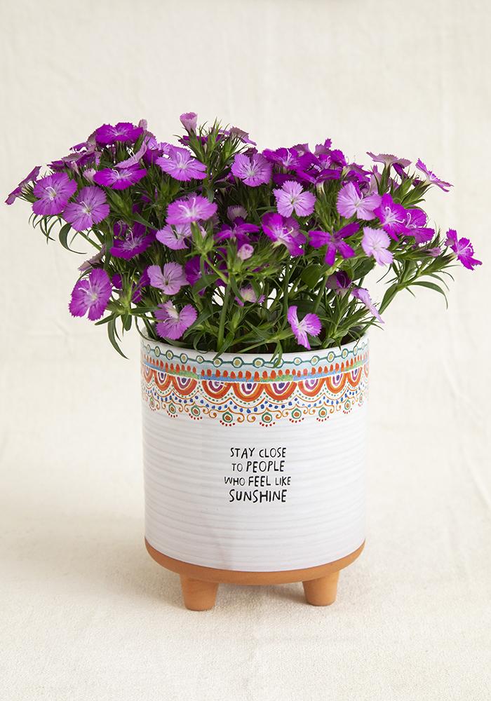 Natural Life Artisan Planter Stay Close...Sunshine - Planters - Big Sun Vernon