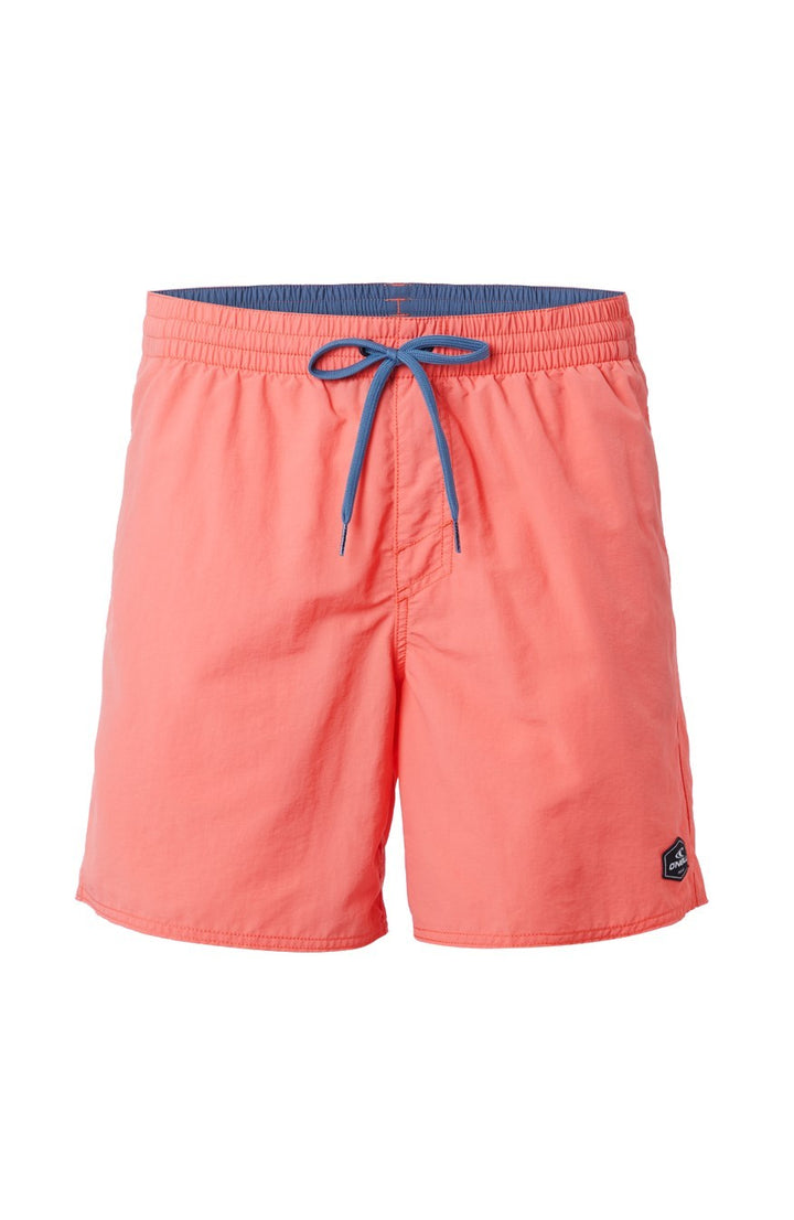 Oneill Vert Shorts - Mens Swim Shorts - Big Sun Vernon