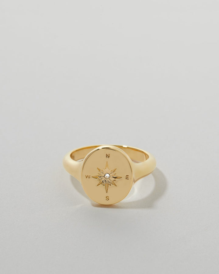 Bryan Anthony's Never Lost Signet Ring - Ring - Big Sun Vernon