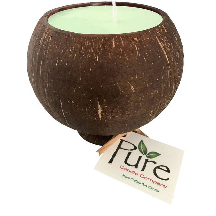 Pure Candle Co. Coconut Candle - Home Decorations - Big Sun Vernon