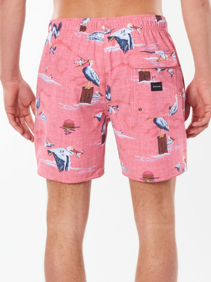 Rip Curl Paradise Party Volley - Mens Swim Shorts - Big Sun Vernon