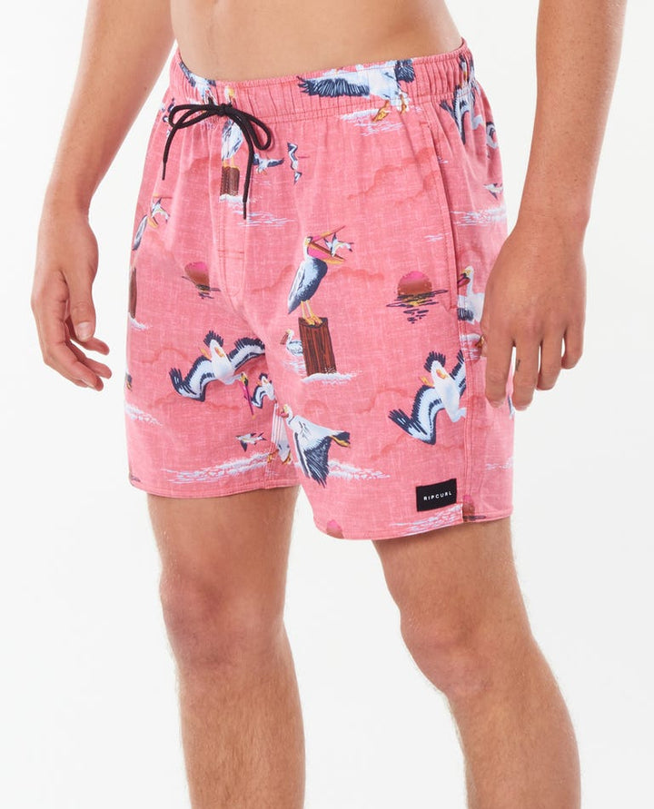 Rip Curl Paradise Party Volley - Mens Swim Shorts - Big Sun Vernon