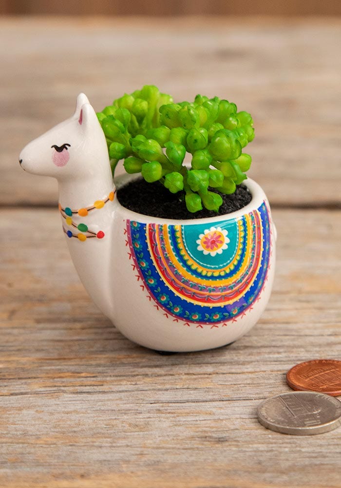 Natural Life Critter Succulent Grey Llama - Succulents - Big Sun Vernon