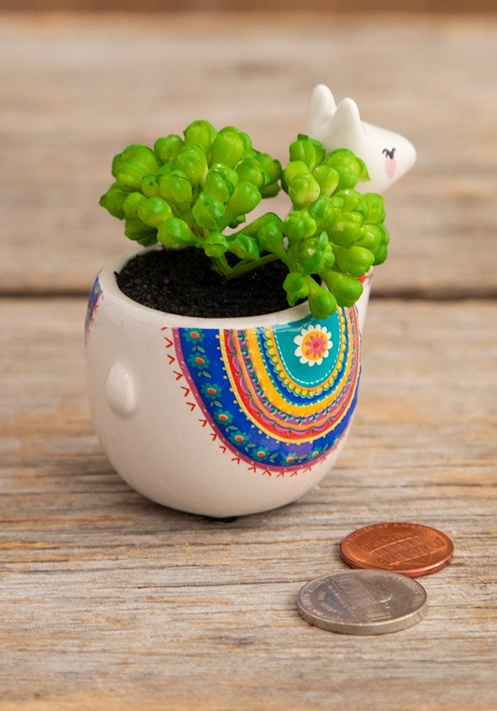 Natural Life Critter Succulent Grey Llama - Succulents - Big Sun Vernon