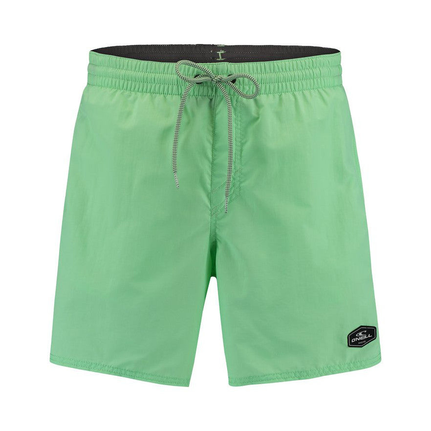 Oneill Vert Shorts - Mens Swim Shorts - Big Sun Vernon